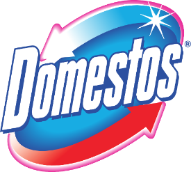 Domestos расширяет очередной этап программы за чистоту школьных туалетов